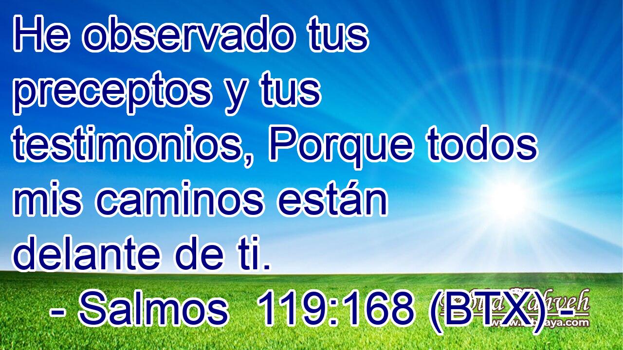 He observado tus preceptos y tus testimonios, Porque todos mis caminos están delante de ti.