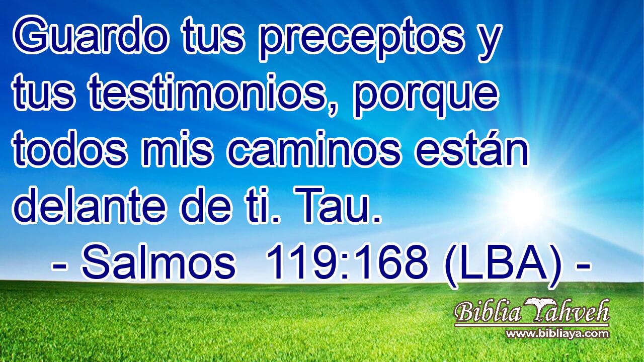 Guardo tus preceptos y tus testimonios, porque todos mis caminos están delante de ti. Tau.