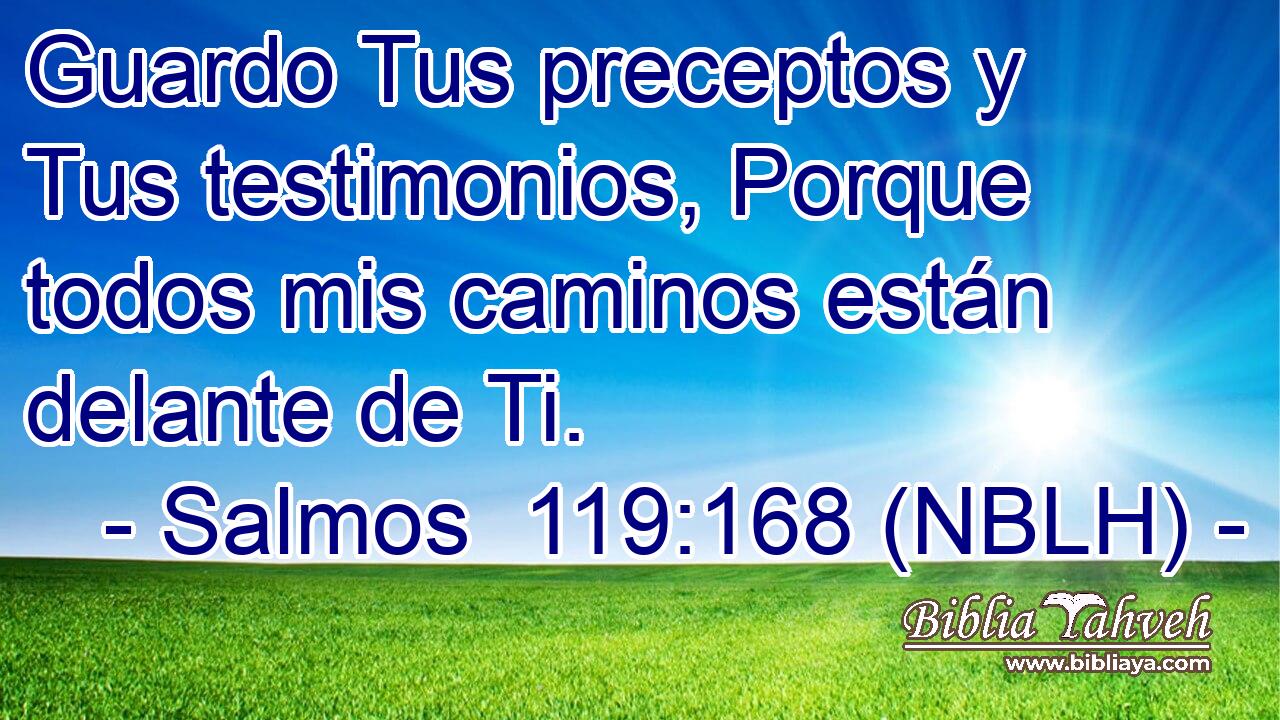  Guardo Tus preceptos y Tus testimonios, Porque todos mis caminos están delante de Ti. 