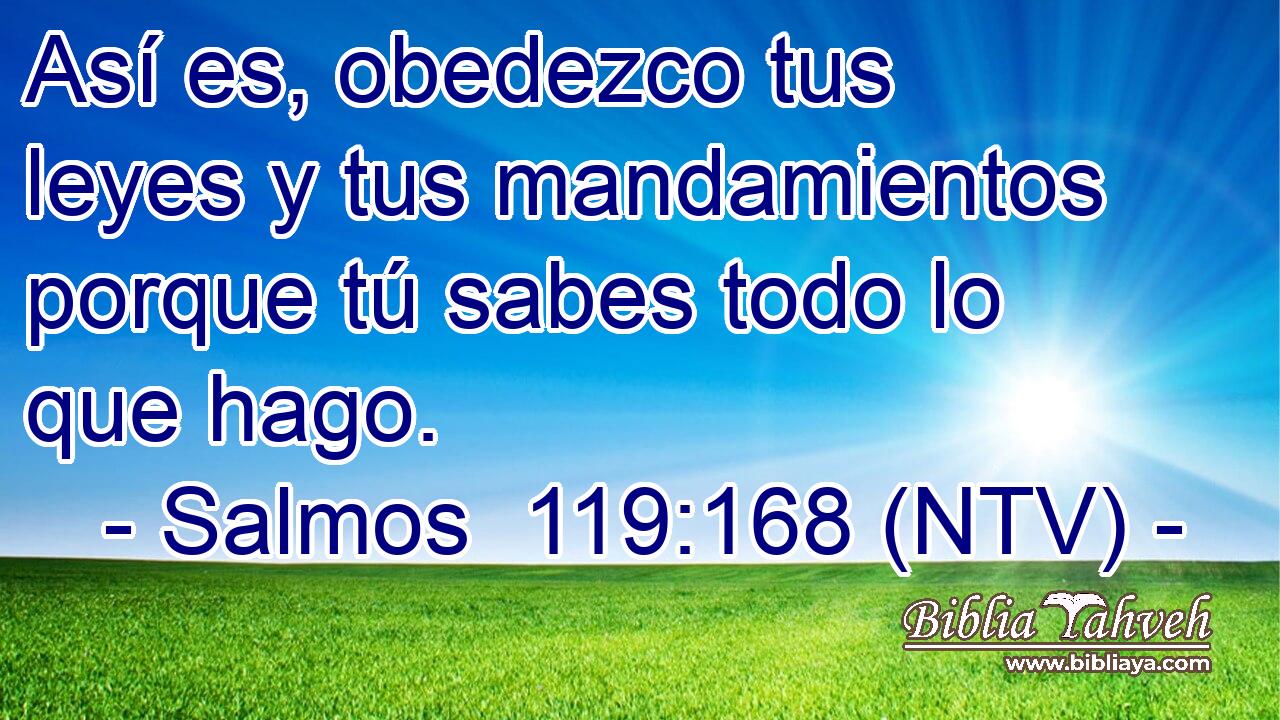 Así es, obedezco tus leyes y tus mandamientos porque tú sabes todo lo que hago.