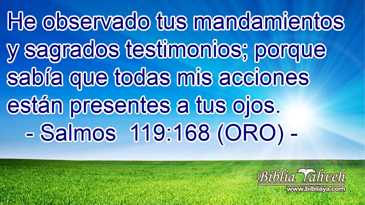  He observado tus mandamientos y sagrados testimonios; porque sabía que todas mis acciones están presentes a tus ojos. 