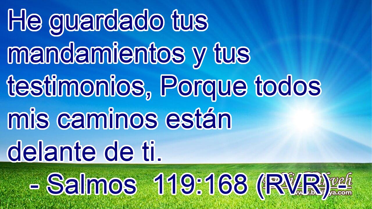He guardado tus mandamientos y tus testimonios, Porque todos mis caminos están delante de ti.