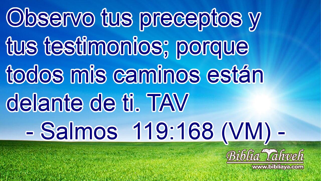  Observo tus preceptos y tus testimonios; porque todos mis caminos están delante de ti. TAV 