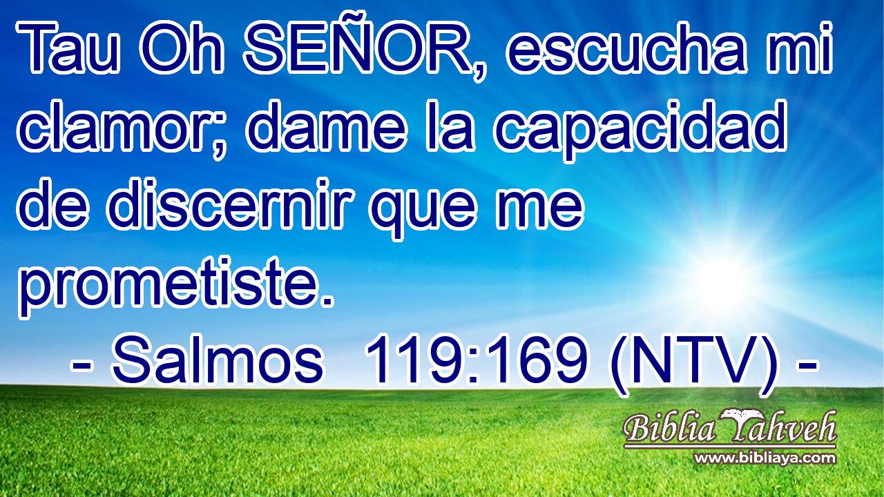 Tau Oh SEÑOR, escucha mi clamor; dame la capacidad de discernir que me prometiste.