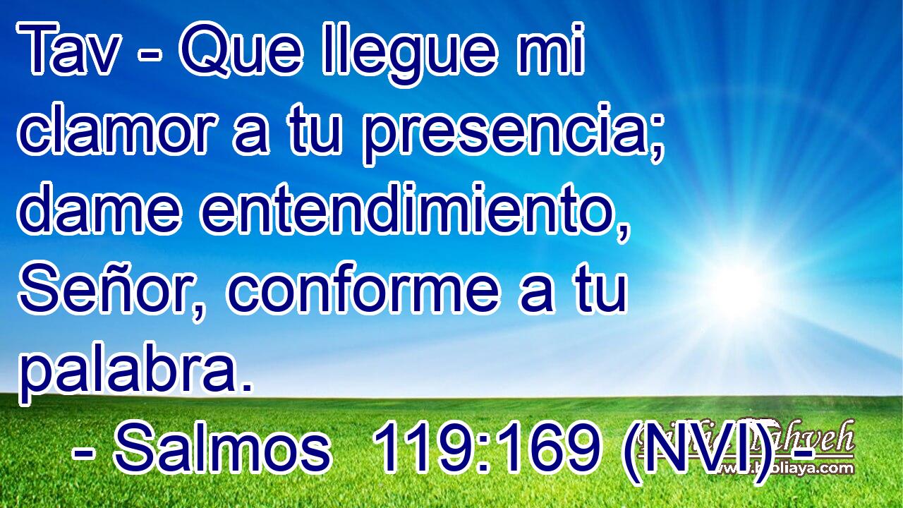  Tav - Que llegue mi clamor a tu presencia; dame entendimiento, Señor, conforme a tu palabra. 