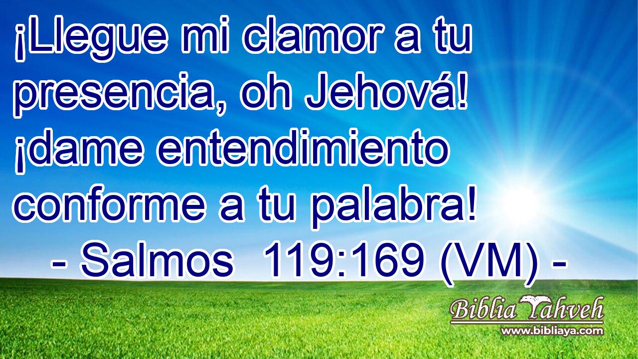  ¡Llegue mi clamor a tu presencia, oh Jehová! ¡dame entendimiento conforme a tu palabra! 