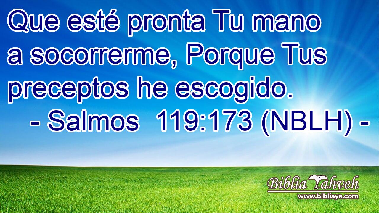  Que esté pronta Tu mano a socorrerme, Porque Tus preceptos he escogido. 