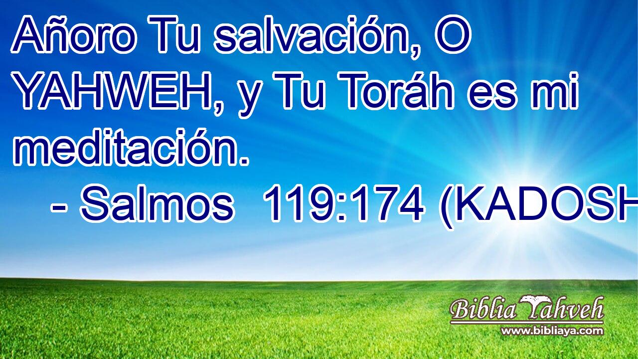  Añoro Tu salvación, O YAHWEH, y Tu Toráh es mi meditación. 