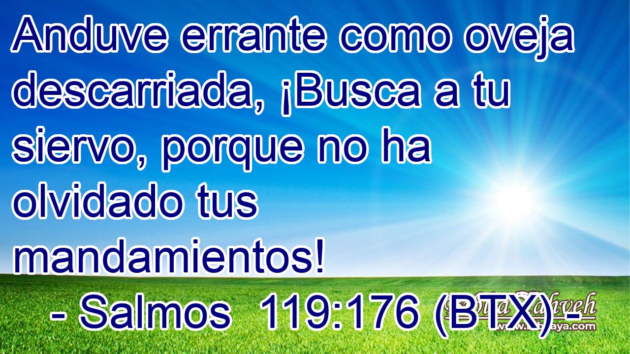 Anduve errante como oveja descarriada, ¡Busca a tu siervo, porque no ha olvidado tus mandamientos!