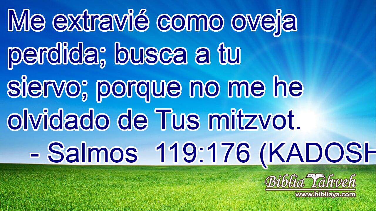  Me extravié como oveja perdida; busca a tu siervo; porque no me he olvidado de Tus mitzvot. 