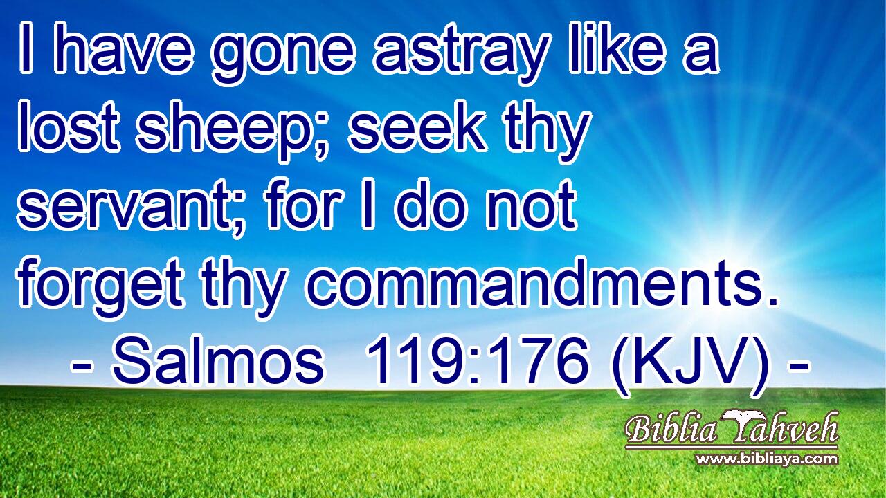 I have gone astray like a lost sheep; seek thy servant; for I do not forget thy commandments.