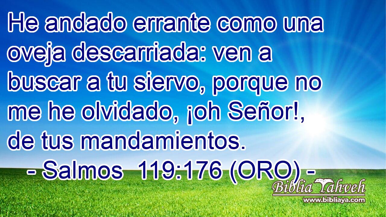  He andado errante como una oveja descarriada: ven a buscar a tu siervo, porque no me he olvidado, ¡oh Señor!, de tus mandamientos. 