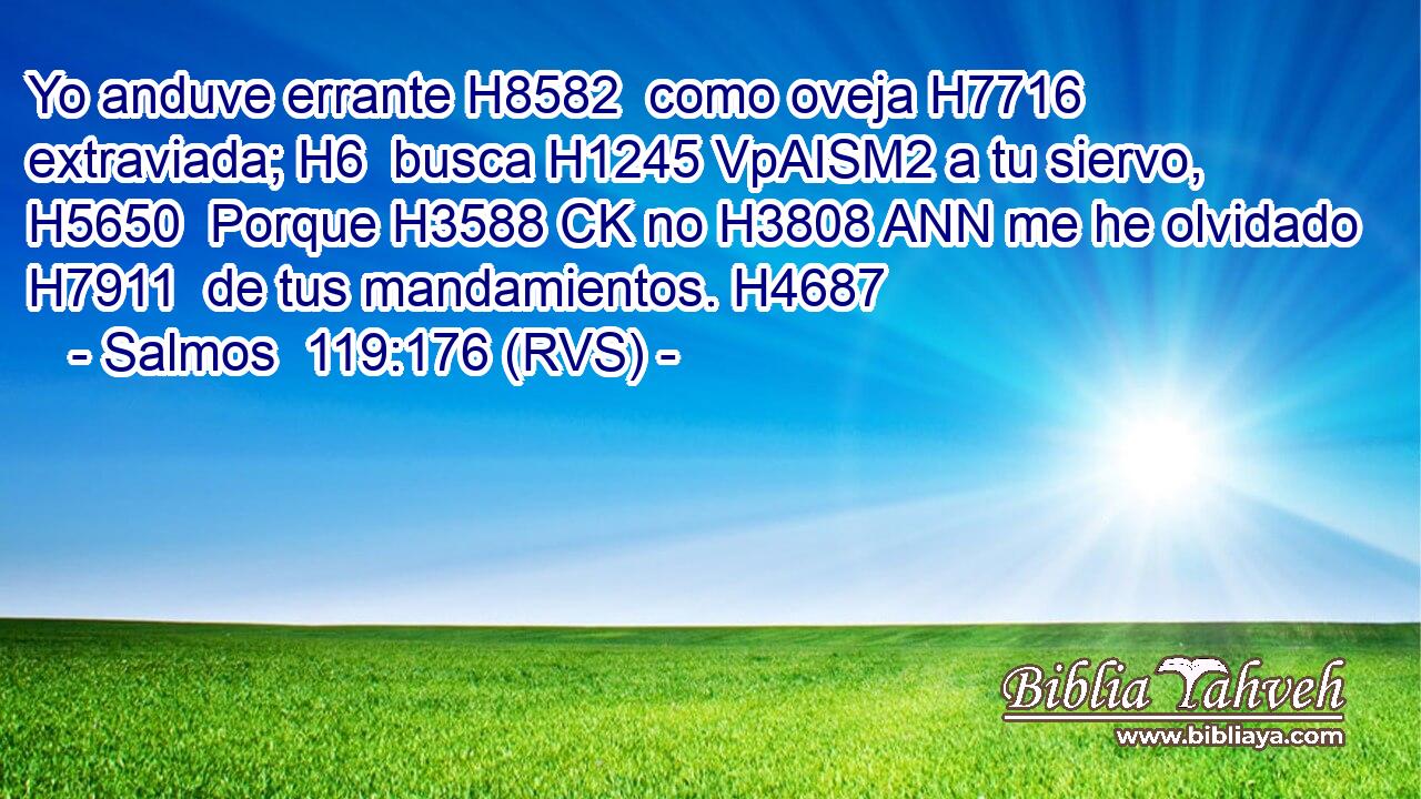 Yo anduve errante H8582  como oveja H7716  extraviada; H6  busca H1245 VpAISM2 a tu siervo, H5650  Porque H3588 CK no H3808 ANN me he olvidado H7911  de tus mandamientos. H4687  