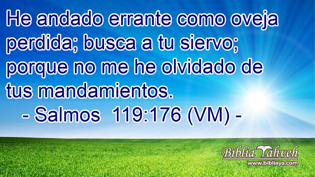  He andado errante como oveja perdida; busca a tu siervo; porque no me he olvidado de tus mandamientos. 