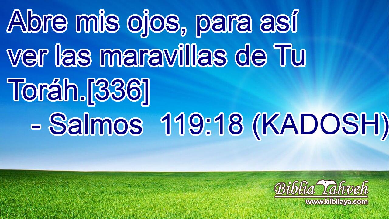  Abre mis ojos, para así ver las maravillas de Tu Toráh.[336] 