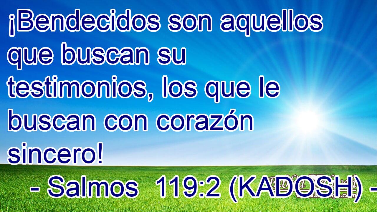  ¡Bendecidos son aquellos que buscan su testimonios, los que le buscan con corazón sincero! 