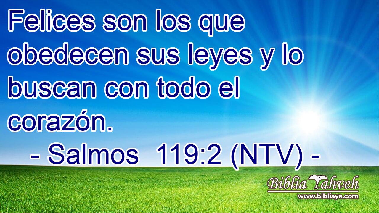 Felices son los que obedecen sus leyes y lo buscan con todo el corazón.