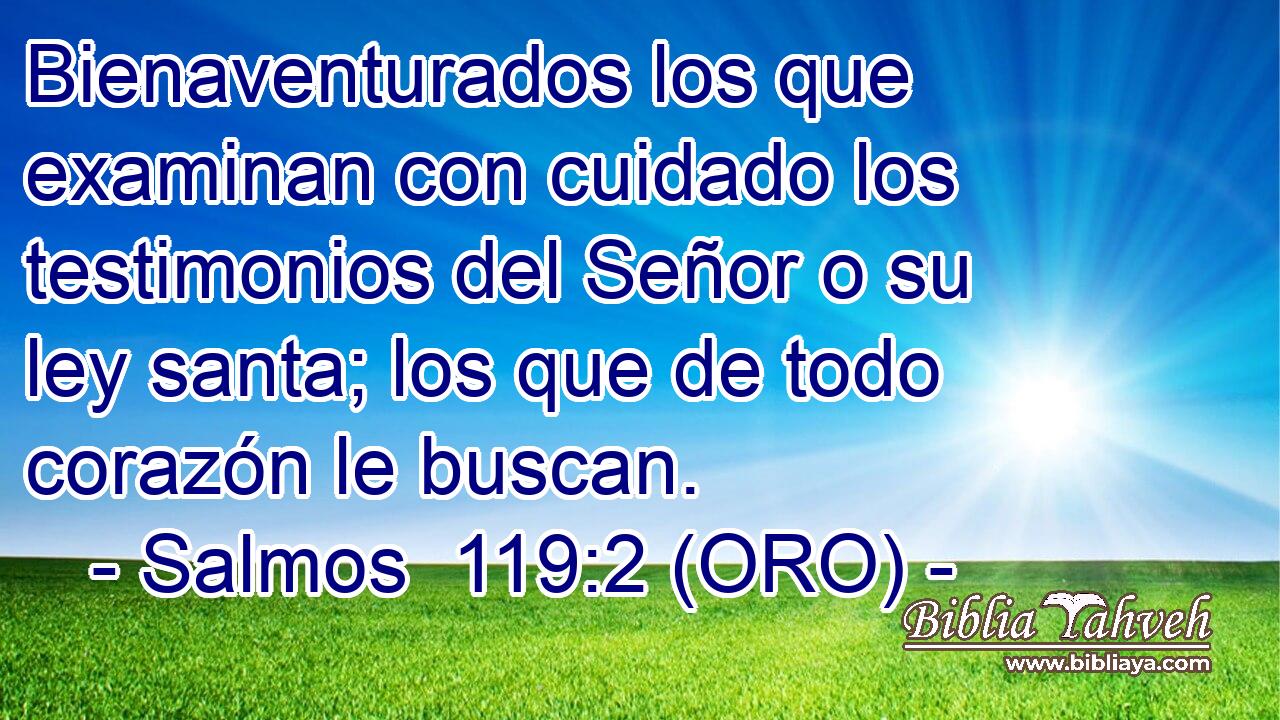  Bienaventurados los que examinan con cuidado los testimonios del Señor o su ley santa; los que de todo corazón le buscan. 