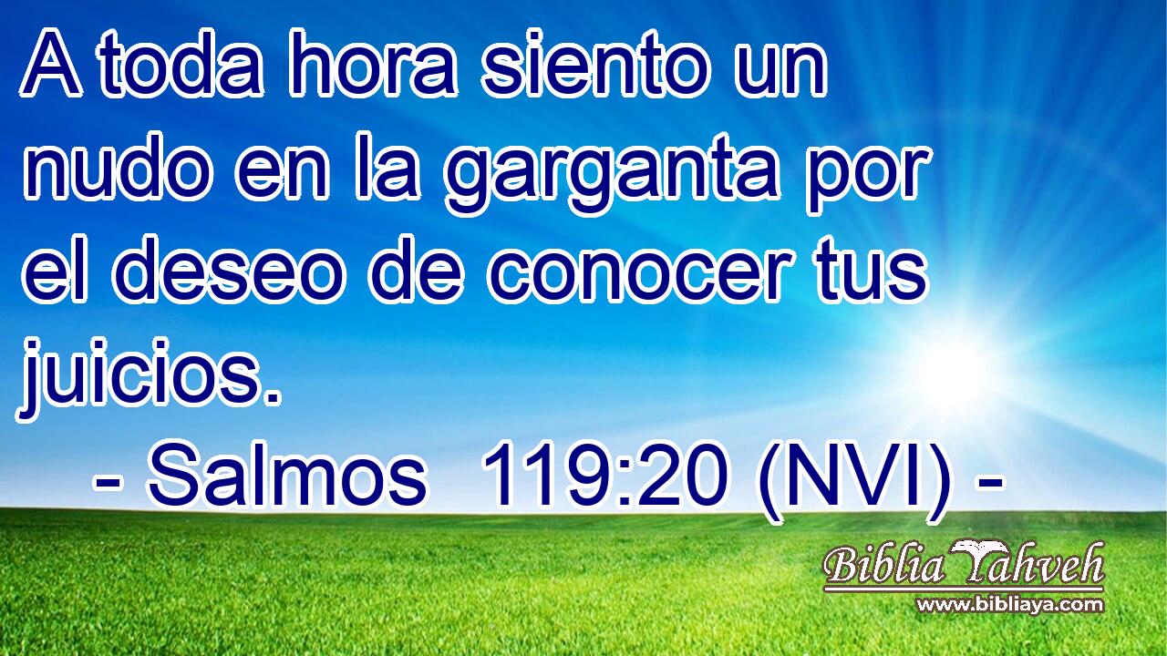  A toda hora siento un nudo en la garganta por el deseo de conocer tus juicios. 