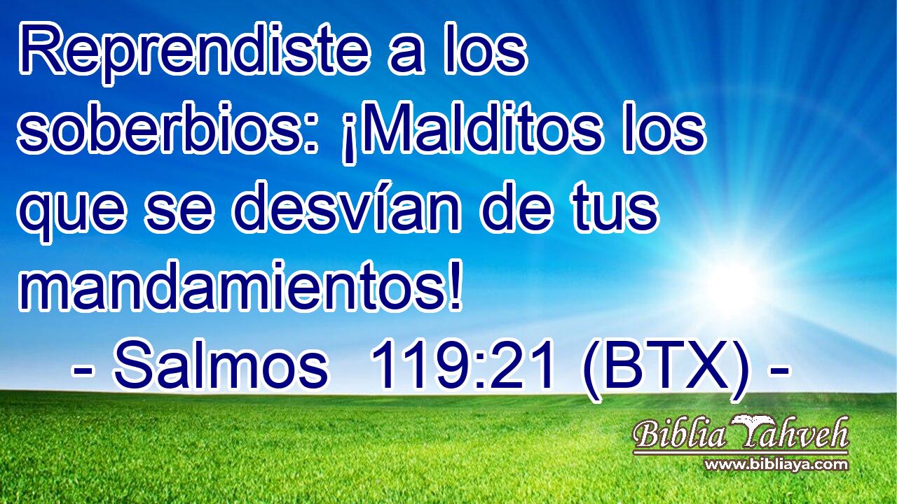 Reprendiste a los soberbios: ¡Malditos los que se desvían de tus mandamientos!