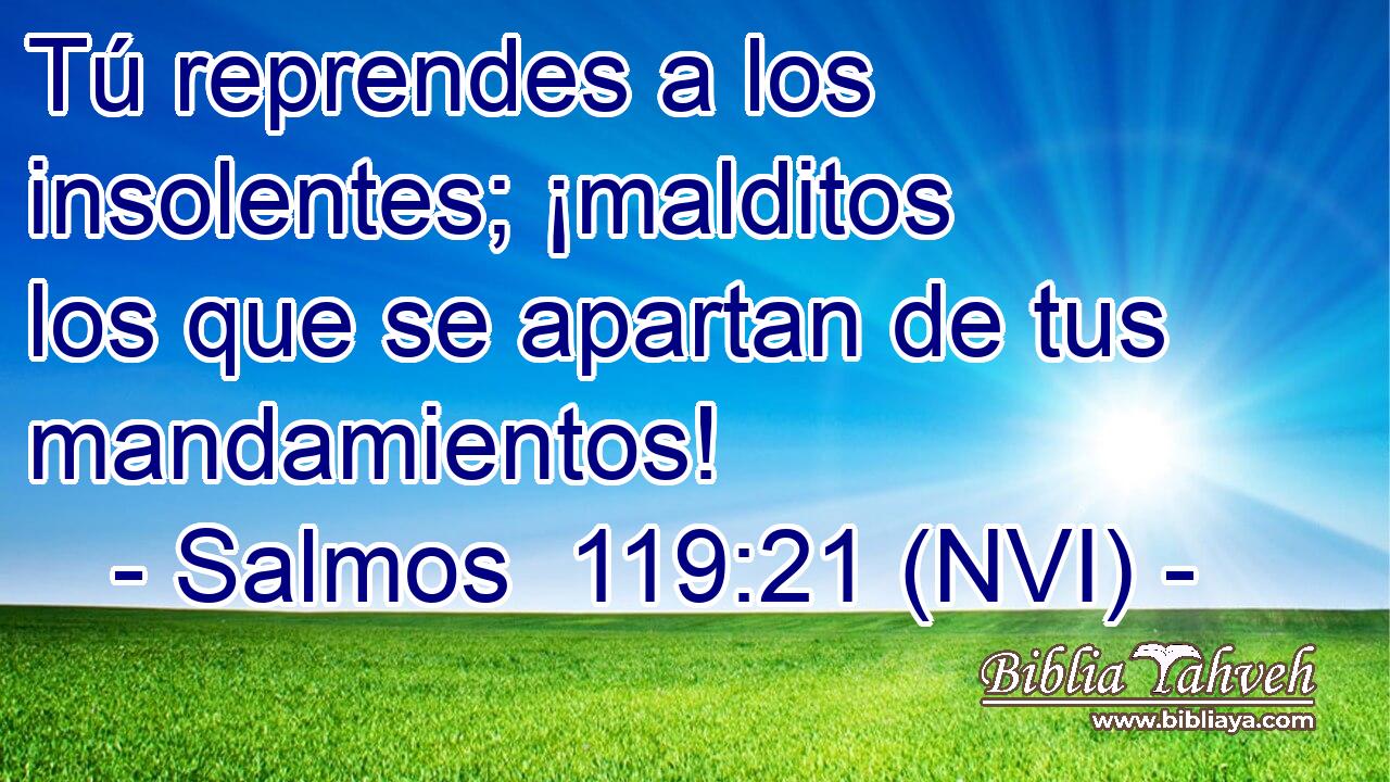  Tú reprendes a los insolentes; ¡malditos los que se apartan de tus mandamientos! 