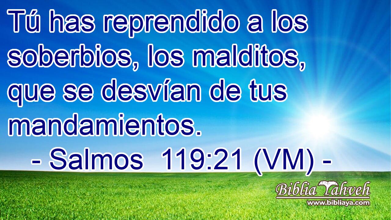  Tú has reprendido a los soberbios, los malditos, que se desvían de tus mandamientos. 