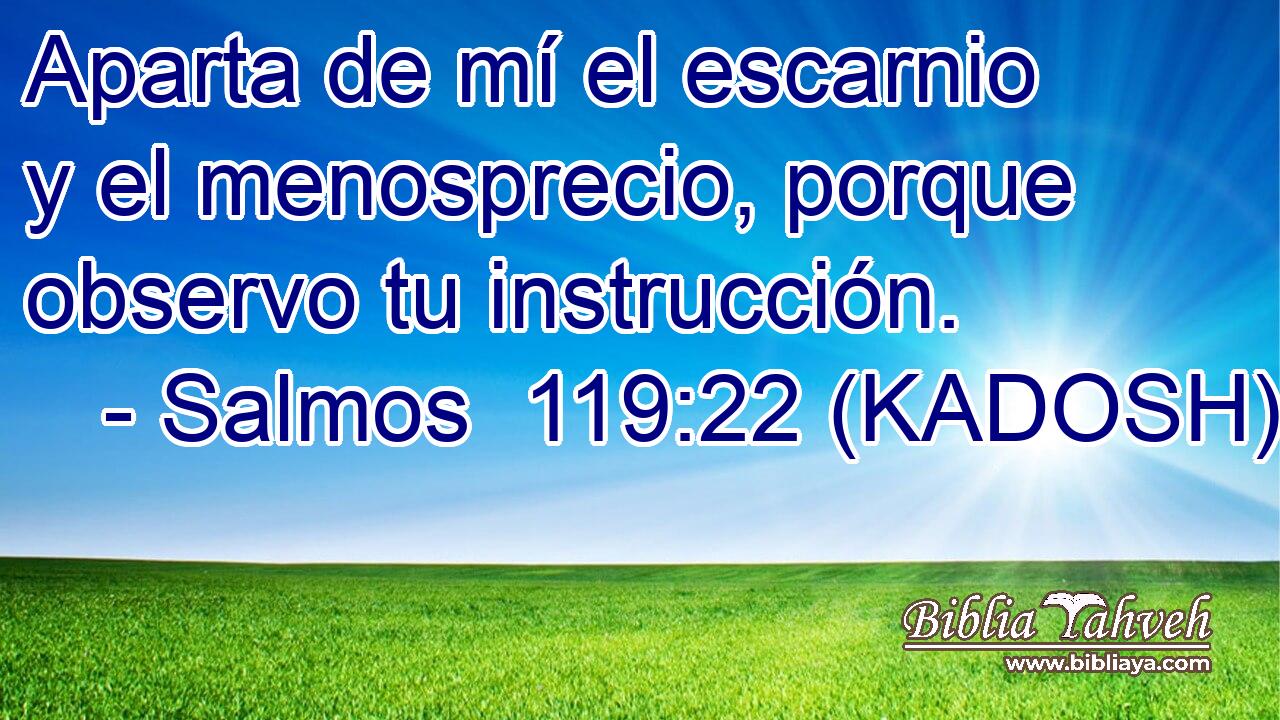  Aparta de mí el escarnio y el menosprecio, porque observo tu instrucción. 
