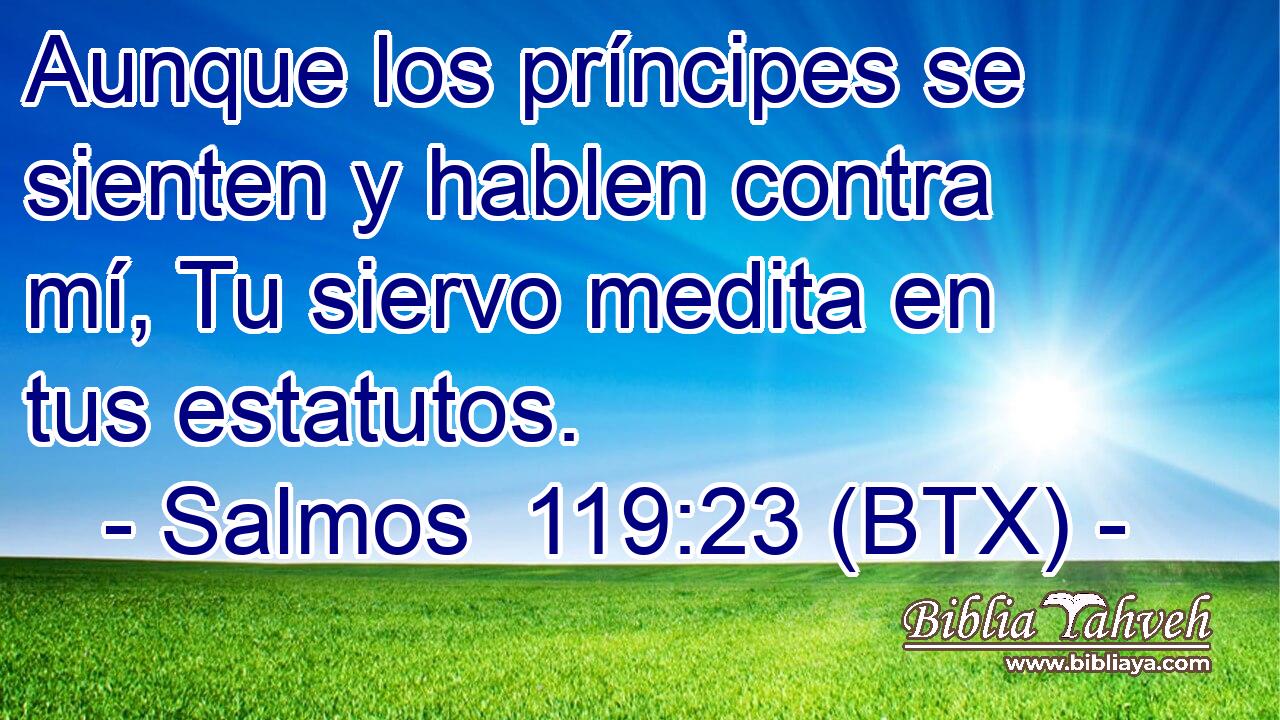 Aunque los príncipes se sienten y hablen contra mí, Tu siervo medita en tus estatutos.