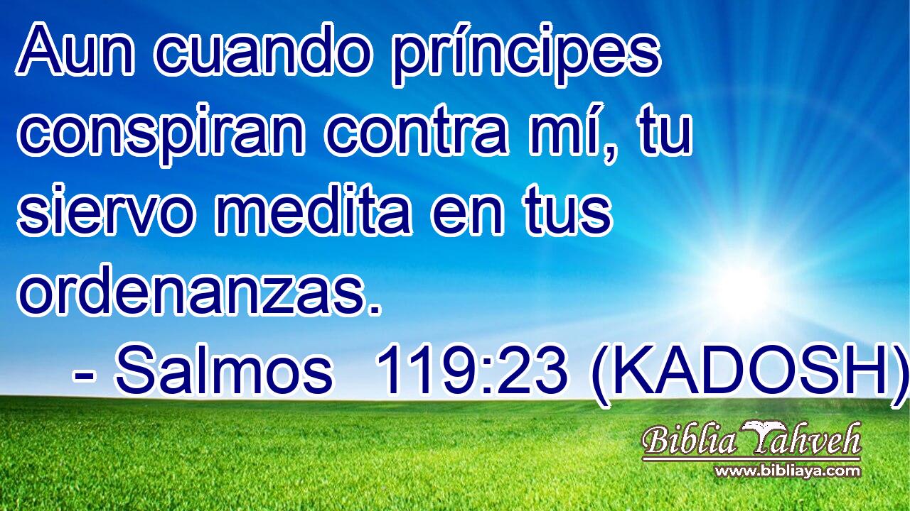  Aun cuando príncipes conspiran contra mí, tu siervo medita en tus ordenanzas. 