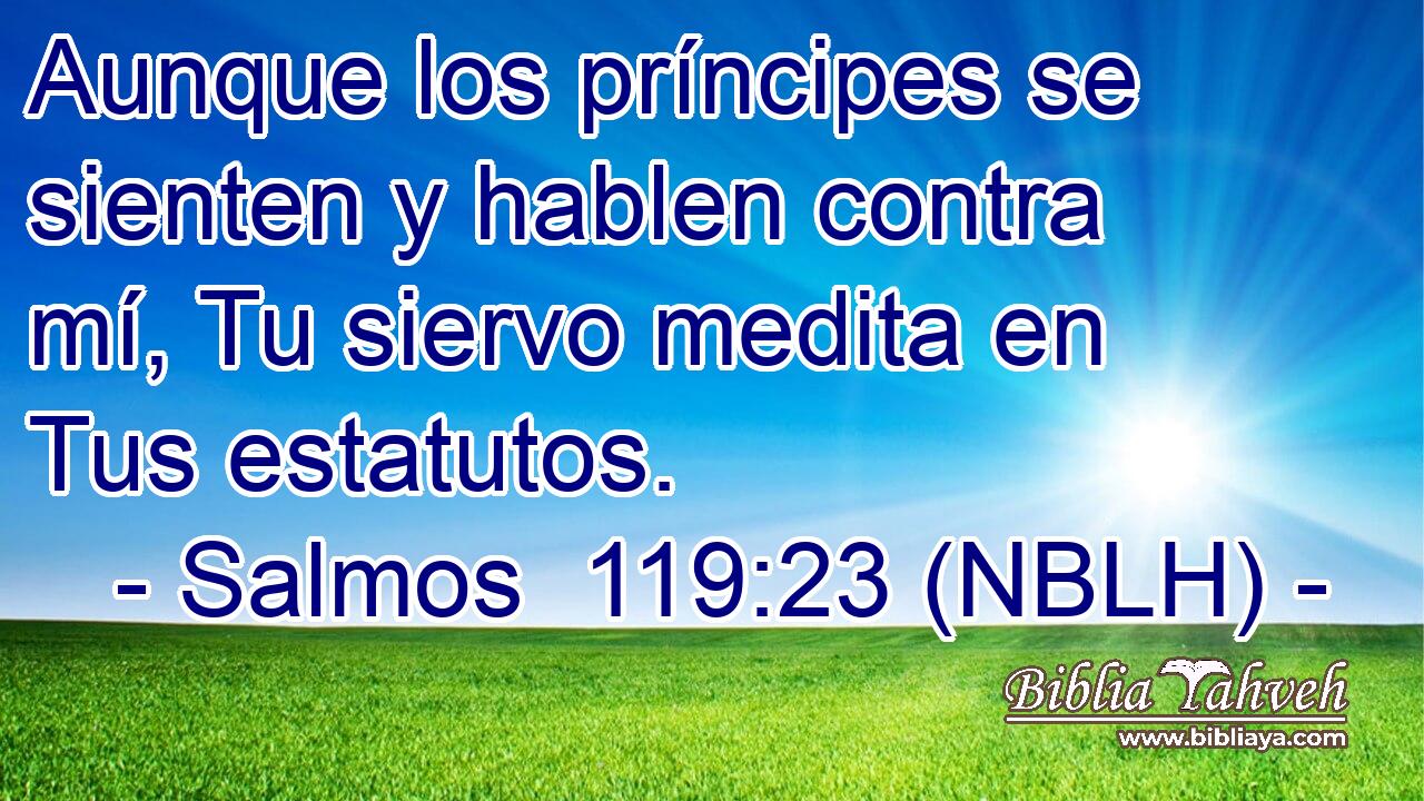  Aunque los príncipes se sienten y hablen contra mí, Tu siervo medita en Tus estatutos. 