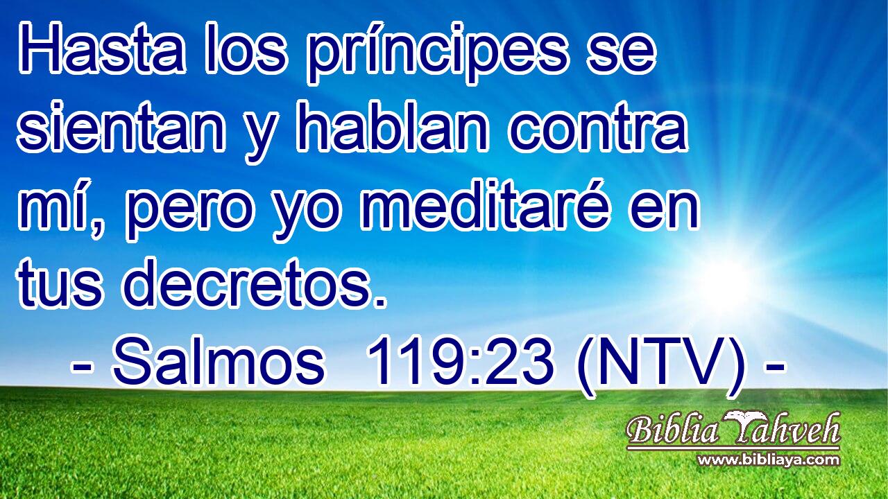Hasta los príncipes se sientan y hablan contra mí, pero yo meditaré en tus decretos.