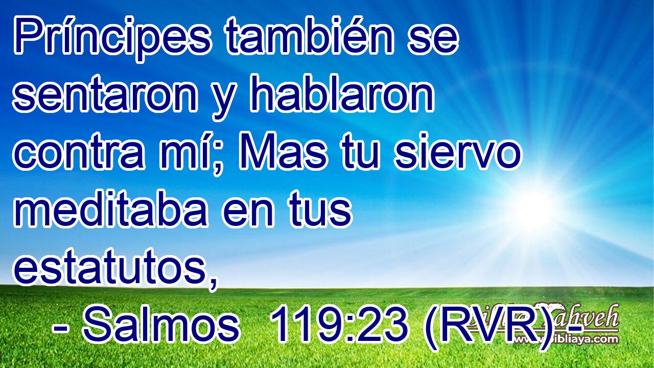 Príncipes también se sentaron y hablaron contra mí; Mas tu siervo meditaba en tus estatutos,