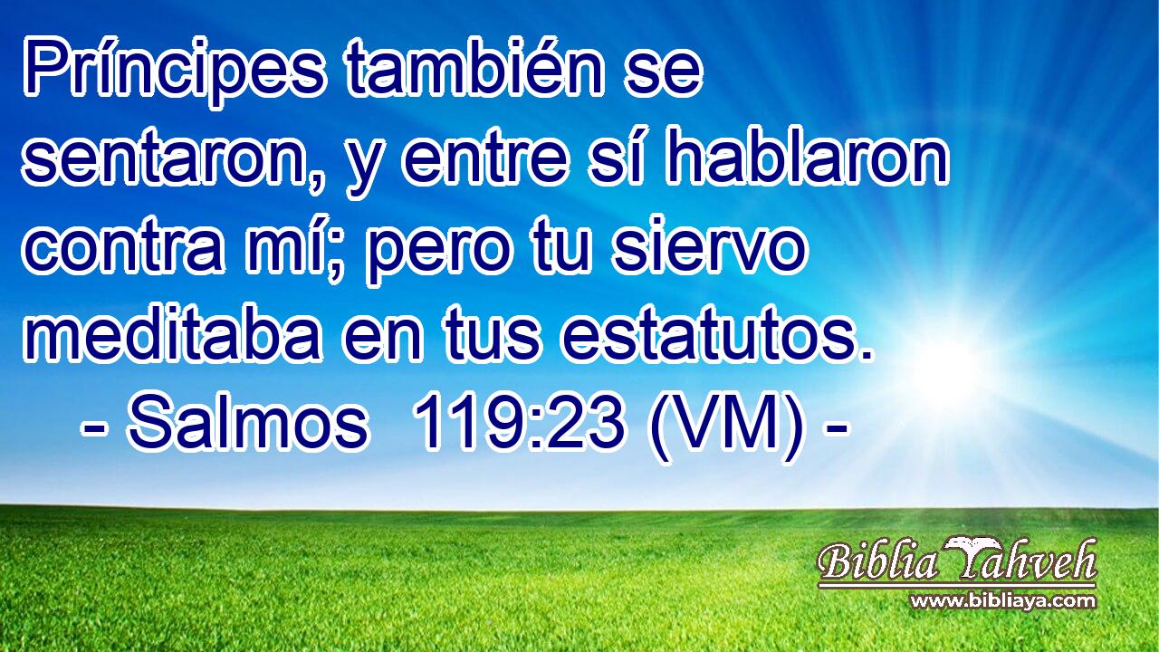  Príncipes también se sentaron, y entre sí hablaron contra mí; pero tu siervo meditaba en tus estatutos. 