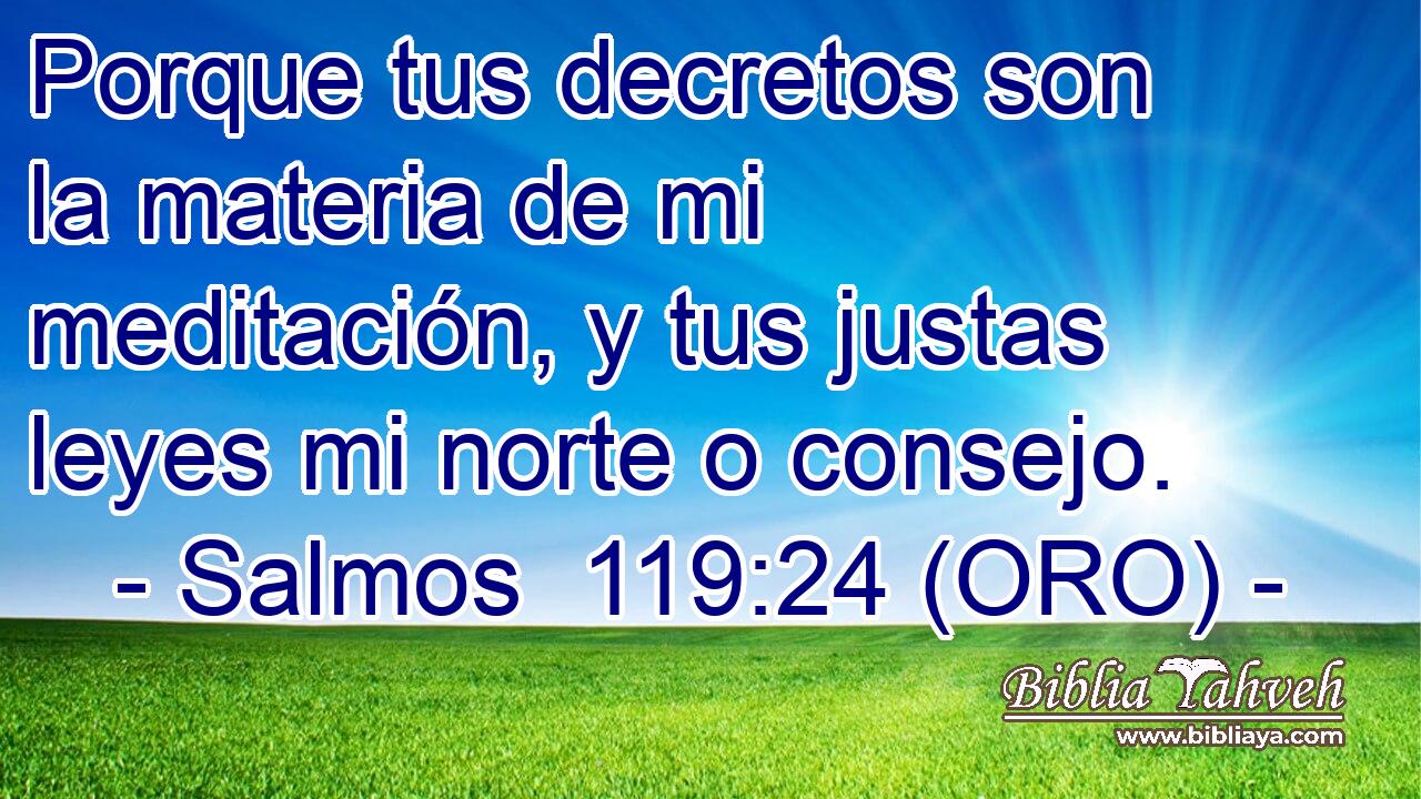  Porque tus decretos son la materia de mi meditación, y tus justas leyes mi norte o consejo. 