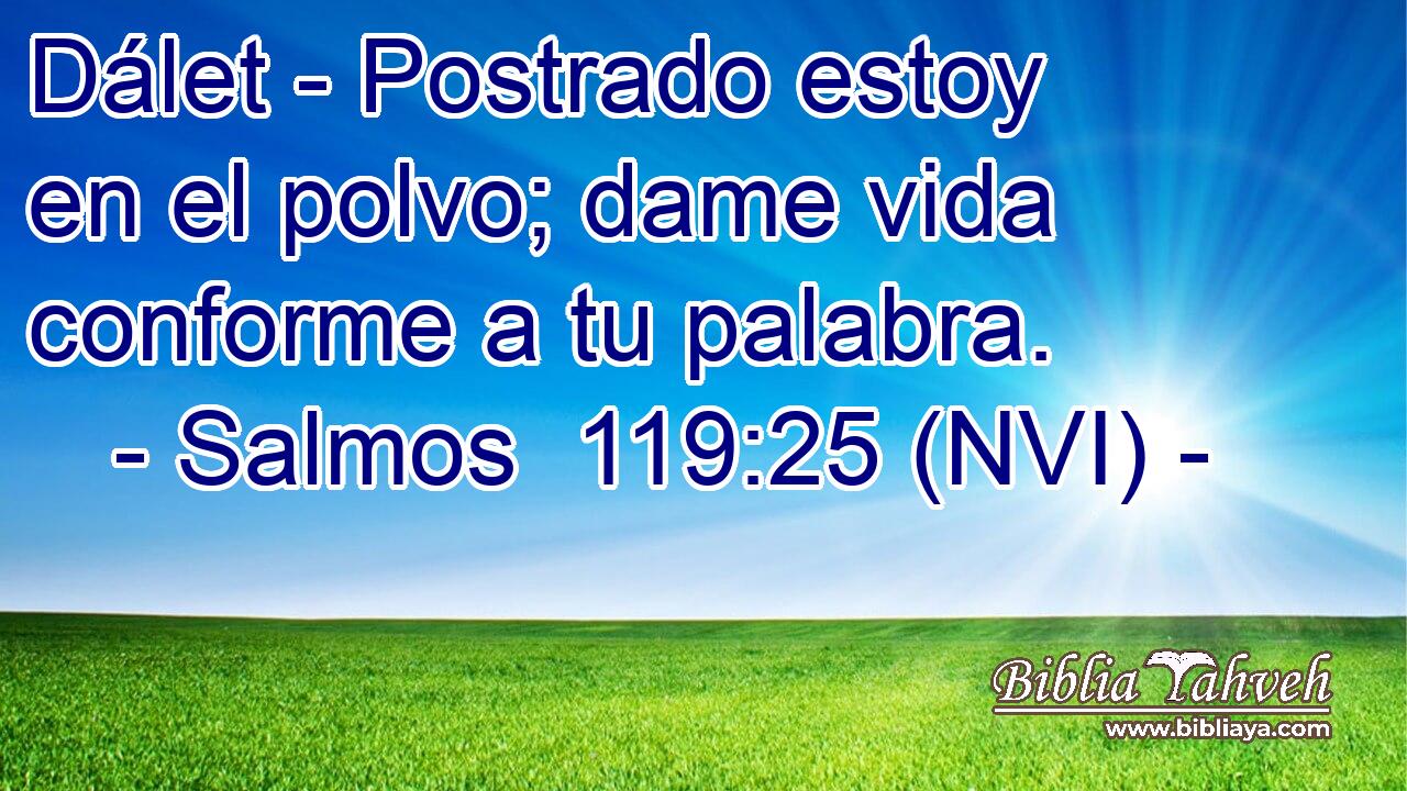  Dálet - Postrado estoy en el polvo; dame vida conforme a tu palabra. 