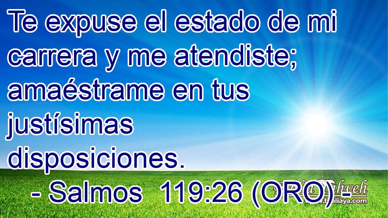  Te expuse el estado de mi carrera y me atendiste; amaéstrame en tus justísimas disposiciones. 