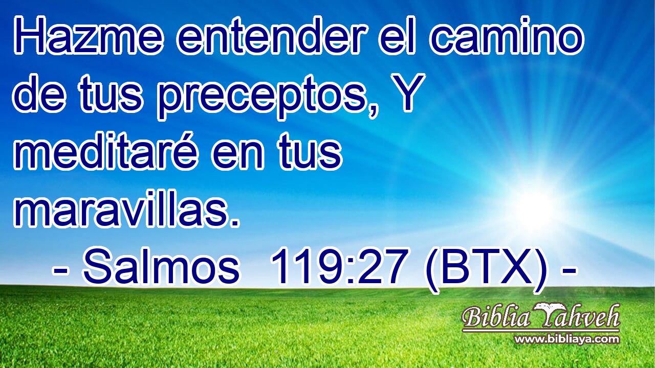 Hazme entender el camino de tus preceptos, Y meditaré en tus maravillas.