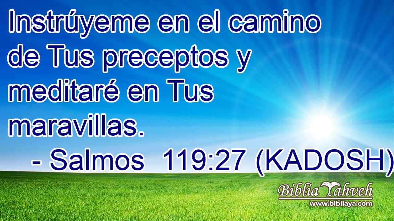  Instrúyeme en el camino de Tus preceptos y meditaré en Tus maravillas. 