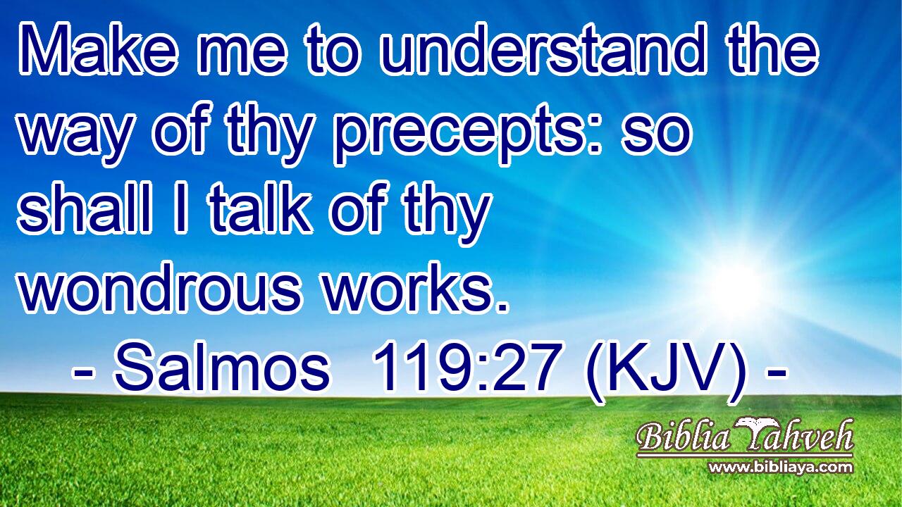 Make me to understand the way of thy precepts: so shall I talk of thy wondrous works.