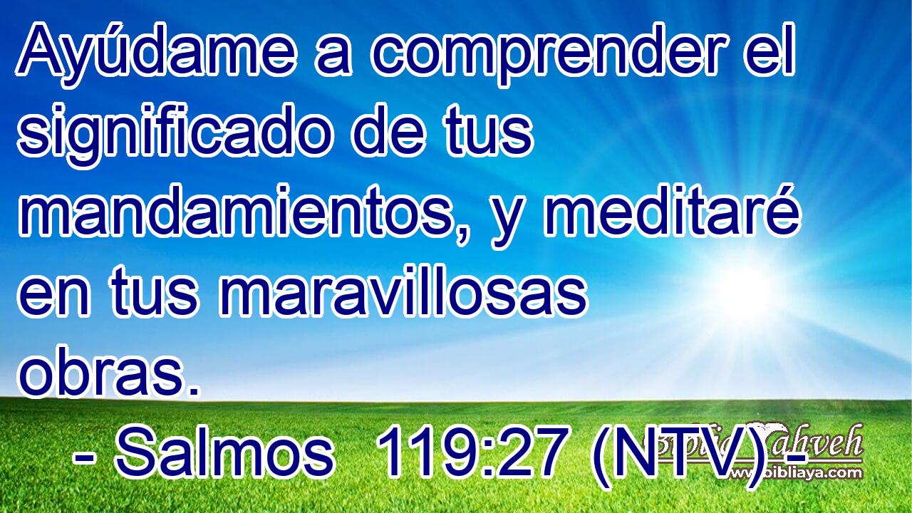 Ayúdame a comprender el significado de tus mandamientos, y meditaré en tus maravillosas obras.