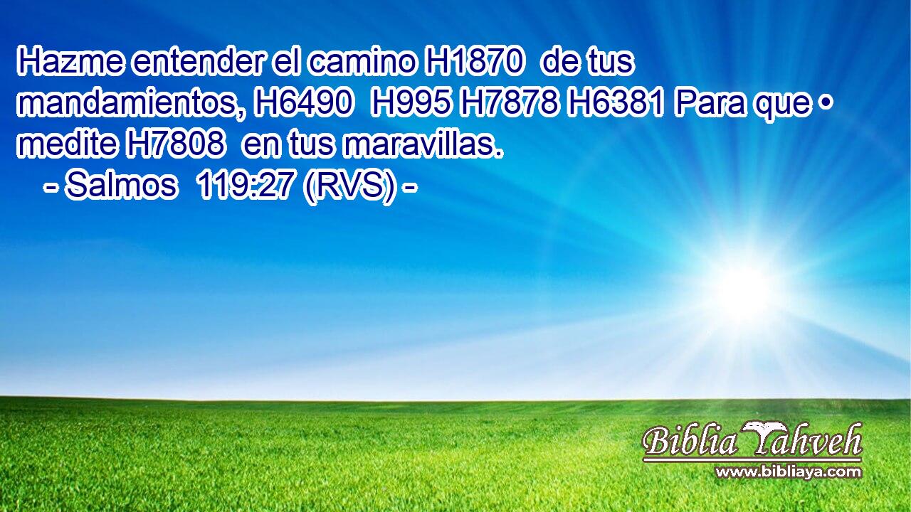 Hazme entender el camino H1870  de tus mandamientos, H6490  H995 H7878 H6381 Para que • medite H7808  en tus maravillas. 