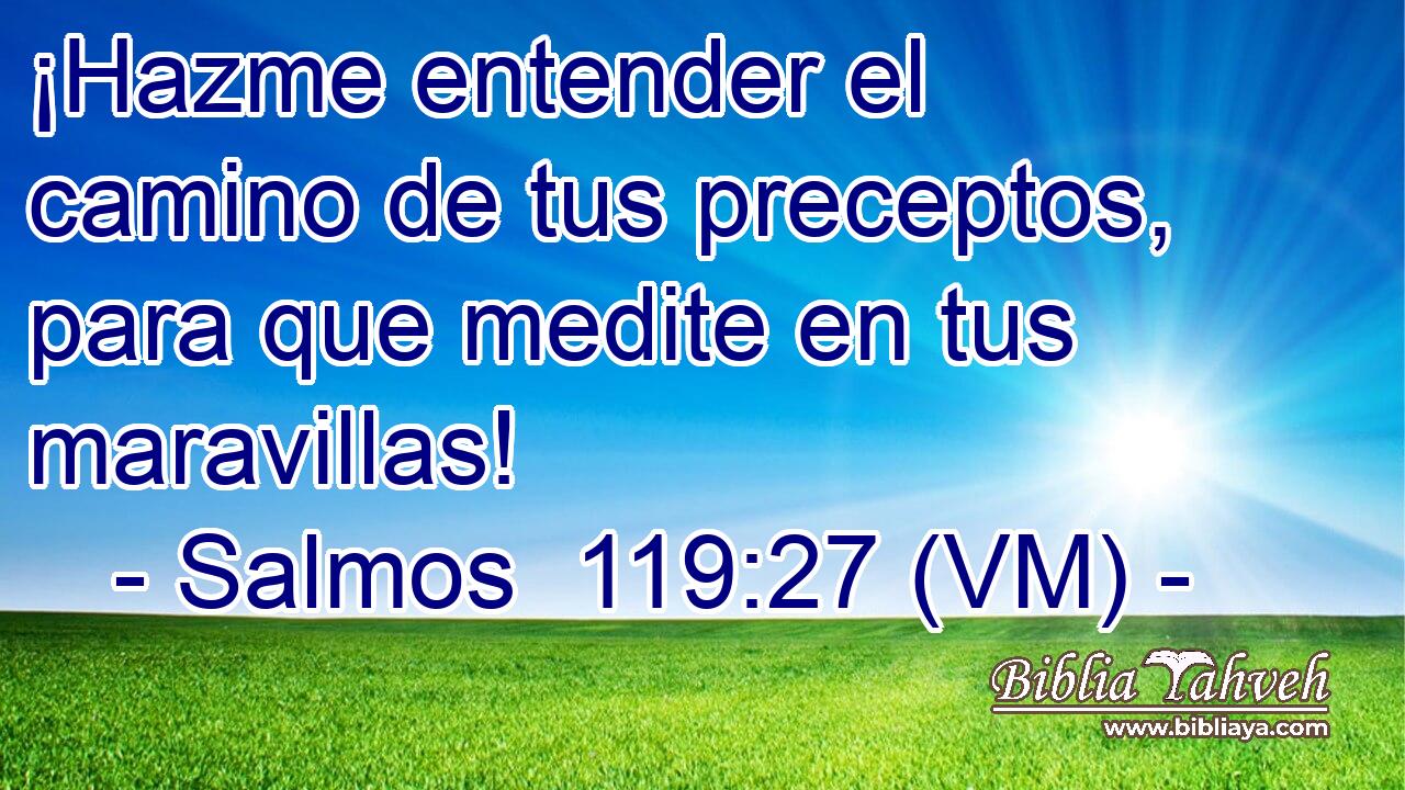  ¡Hazme entender el camino de tus preceptos, para que medite en tus maravillas! 