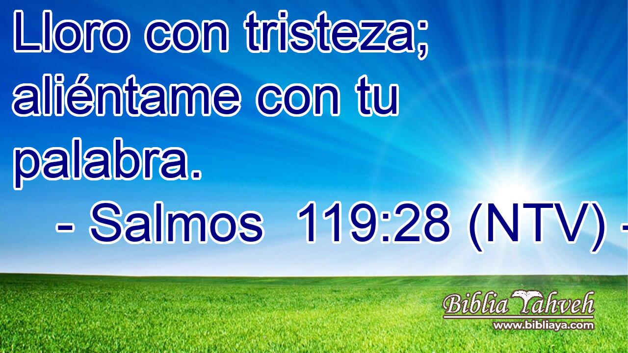 Lloro con tristeza; aliéntame con tu palabra.