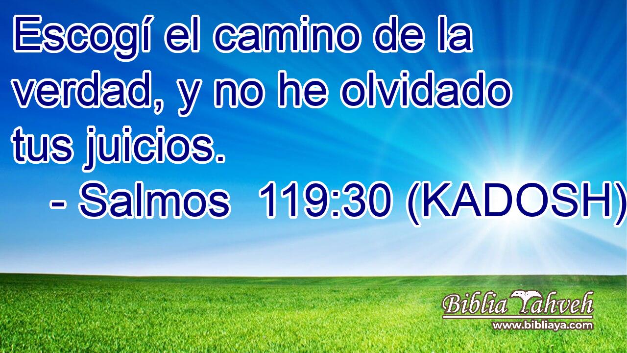  Escogí el camino de la verdad, y no he olvidado tus juicios. 