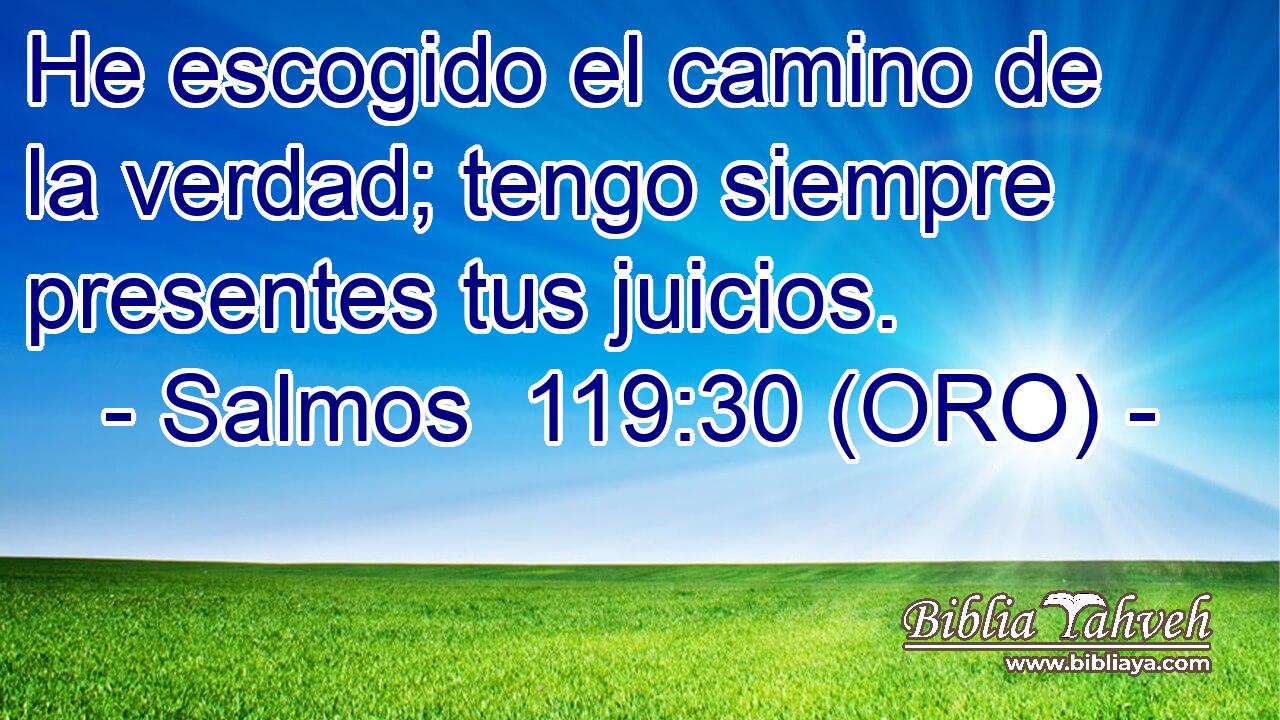 He escogido el camino de la verdad; tengo siempre presentes tus juicios. 