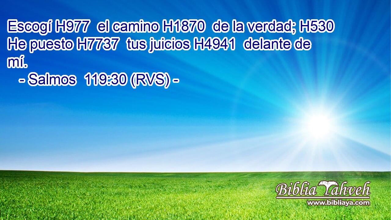 Escogí H977  el camino H1870  de la verdad; H530  He puesto H7737  tus juicios H4941  delante de mí. 