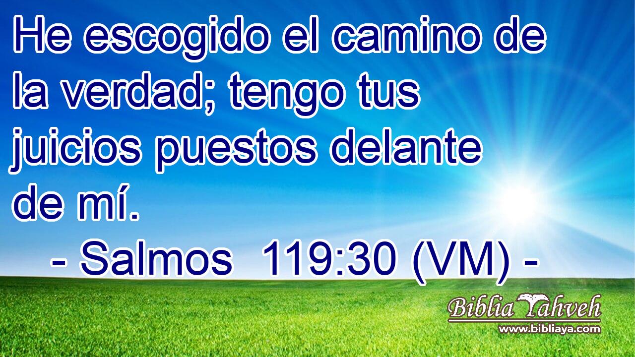  He escogido el camino de la verdad; tengo tus juicios puestos delante de mí. 