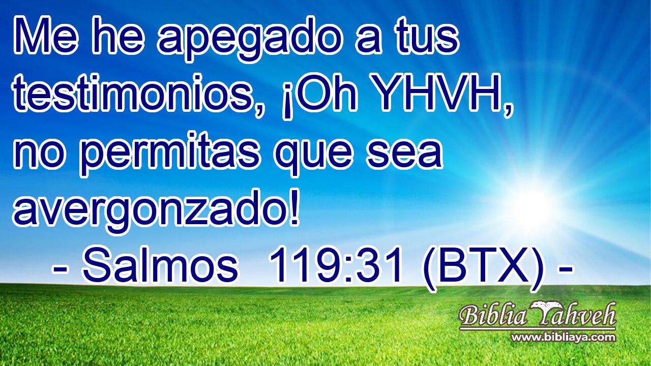 Me he apegado a tus testimonios, ¡Oh YHVH, no permitas que sea avergonzado!