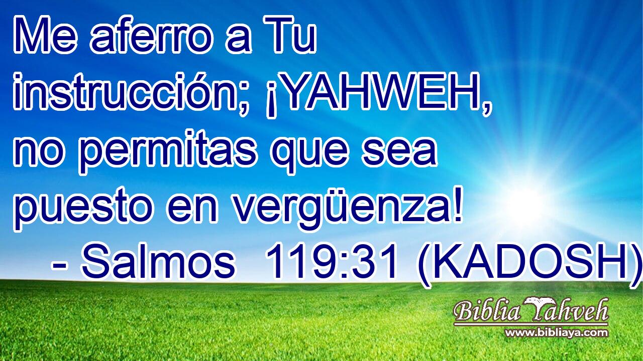  Me aferro a Tu instrucción; ¡YAHWEH, no permitas que sea puesto en vergüenza! 