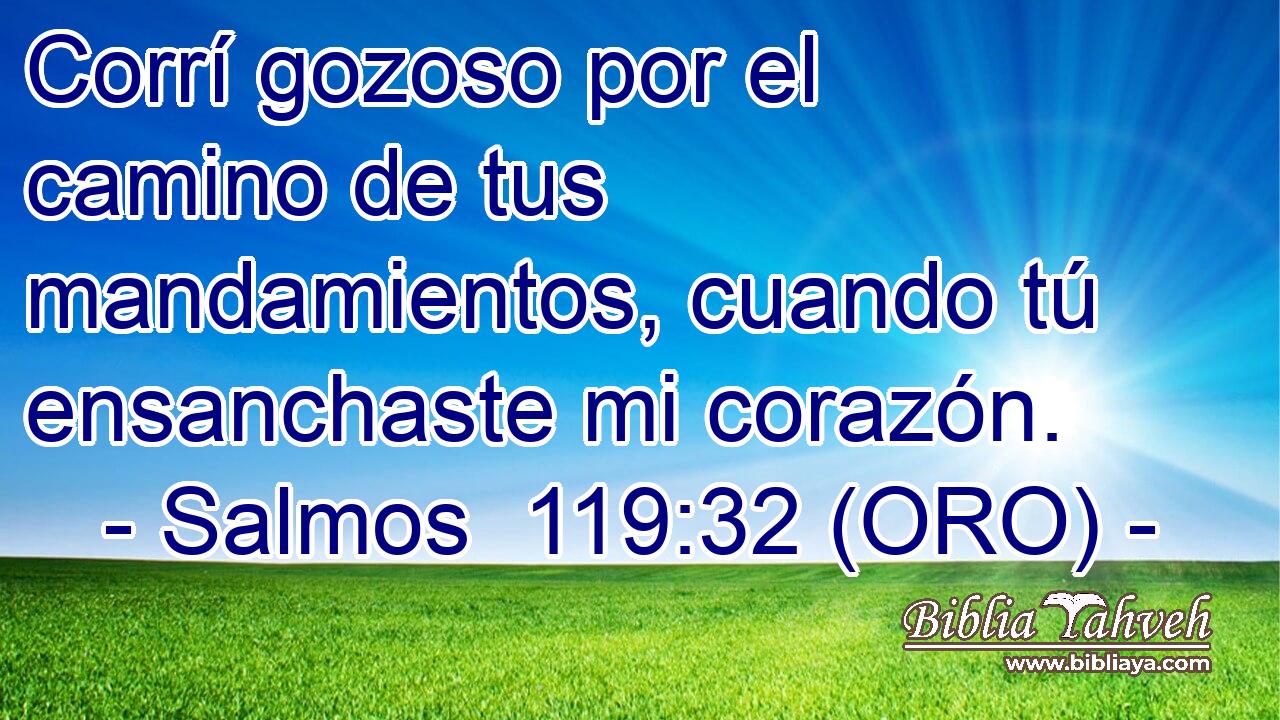  Corrí gozoso por el camino de tus mandamientos, cuando tú ensanchaste mi corazón. 